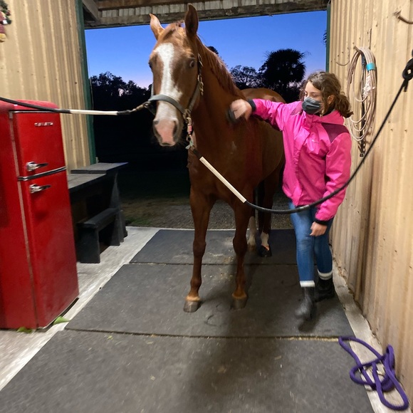 Meet your Posher, Carrie - Picture 4 of 8